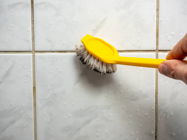 Best Residential Mold Remediation in Bixby, OK