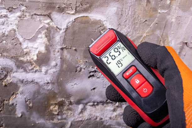 Best Insurance-Related Mold Remediation in Bixby, OK