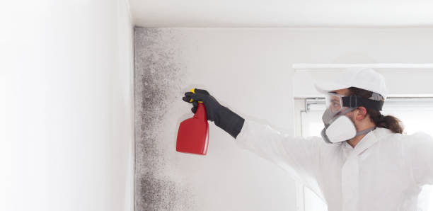 Best Localized Mold Remediation (e.g., coastal areas, humid climates) in Bixby, OK